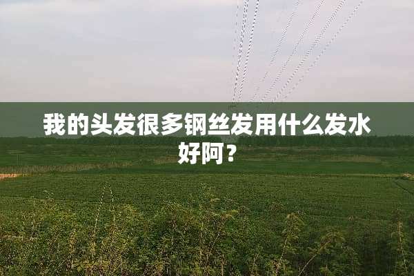 我的头发很多钢丝发用什么发水好阿？
