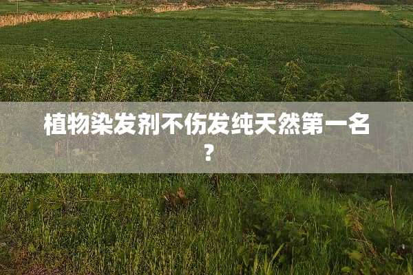 植物染发剂不伤发纯天然第一名？