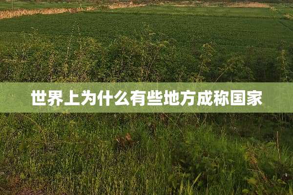 世界上为什么有些地方成称国家