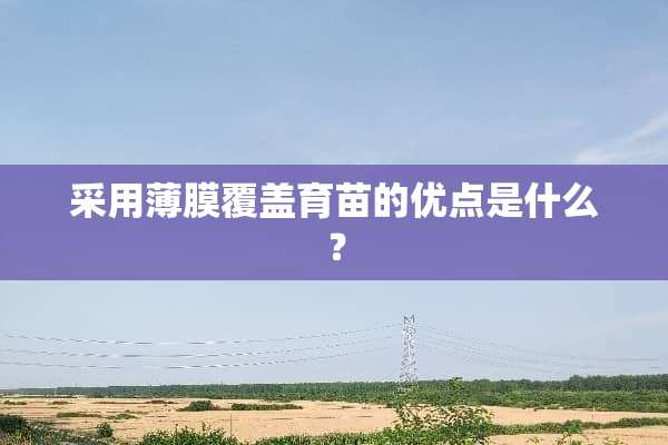 采用薄膜覆盖育苗的优点是什么？