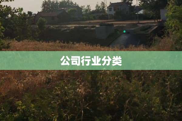 公司行业分类