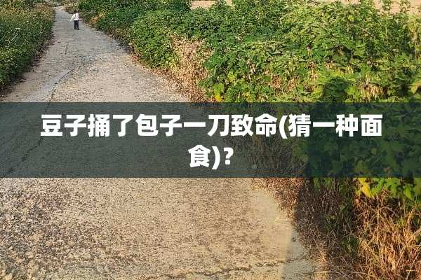 豆子捅了包子一刀致命(猜一种面食)？