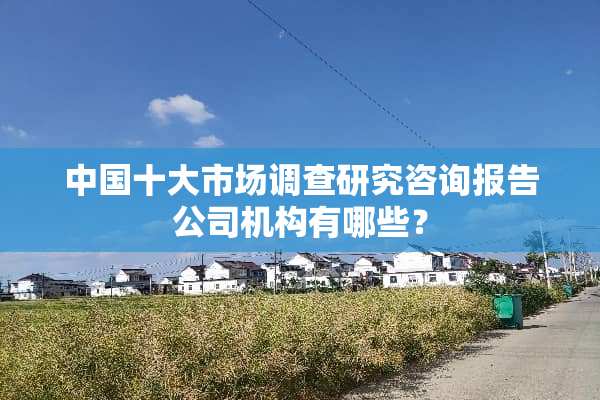 中国十大市场调查研究咨询报告公司机构有哪些？