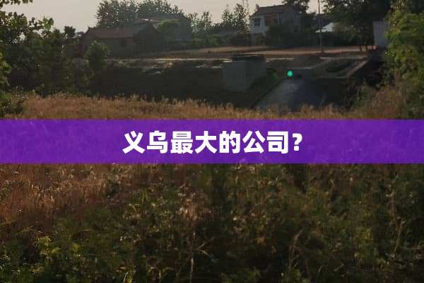 义乌最大的公司？