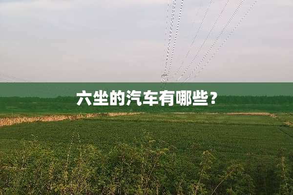 六坐的汽车有哪些？