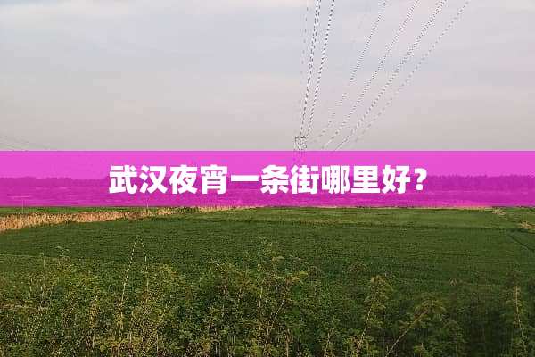 武汉夜宵一条街哪里好？