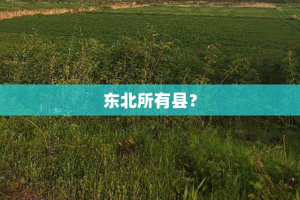 东北所有县？