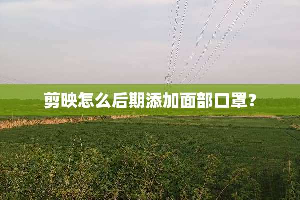 剪映怎么后期添加面部口罩？