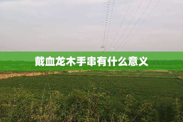 戴血龙木手串有什么意义