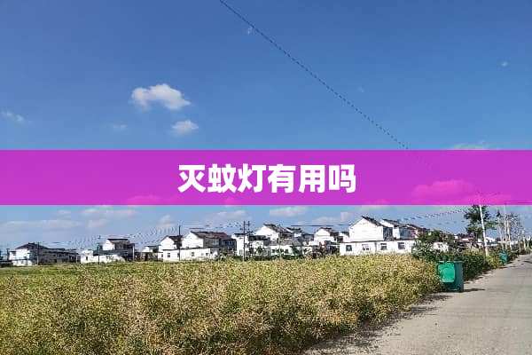 灭蚊灯有用吗