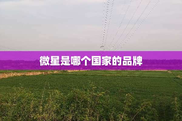 微星是哪个国家的品牌