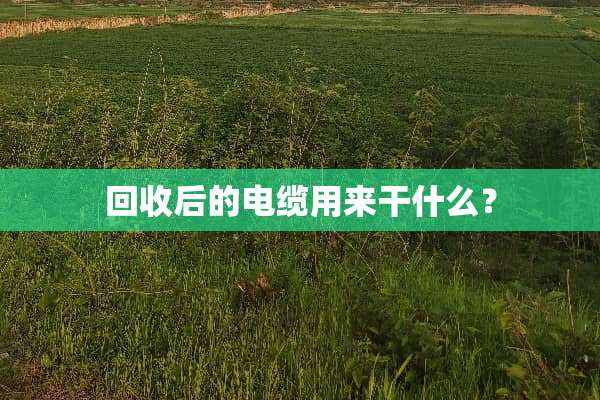 回收后的电缆用来干什么？