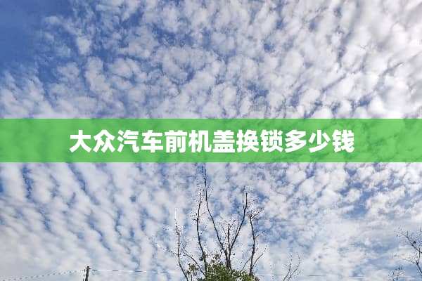 大众汽车前机盖换锁多少钱