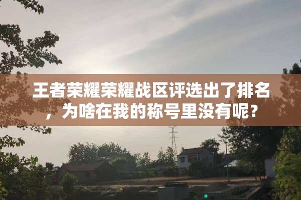 王者荣耀荣耀战区评选出了排名，为啥在我的称号里没有呢？