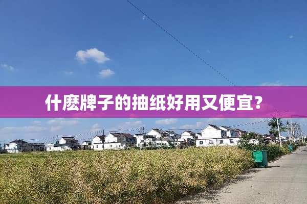 什麽牌子的抽纸好用又便宜？