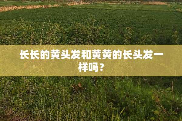 长长的黄头发和黄黄的长头发一样吗？