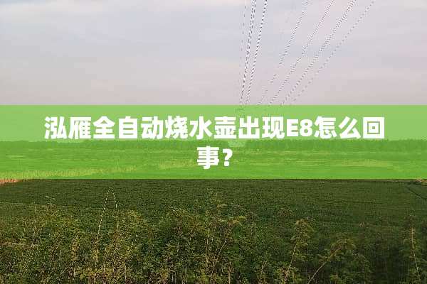 泓雁全自动烧水壶出现E8怎么回事？