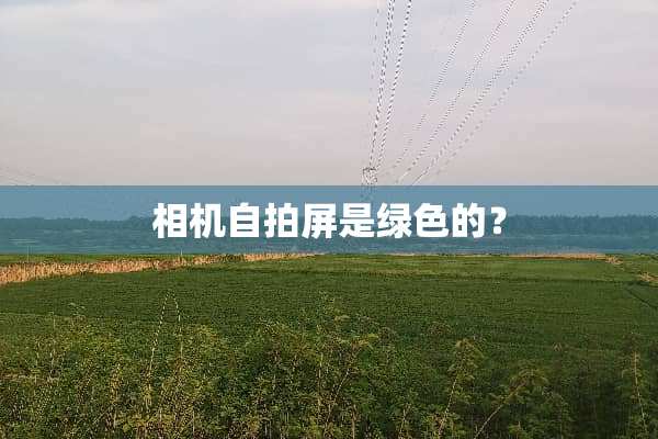 相机**屏是绿色的？