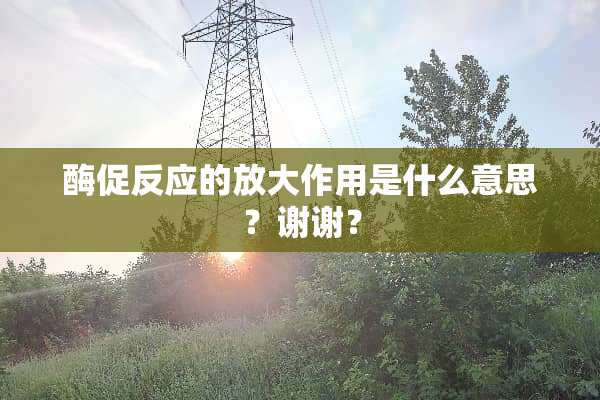 酶促反应的放大作用是什么意思？谢谢？