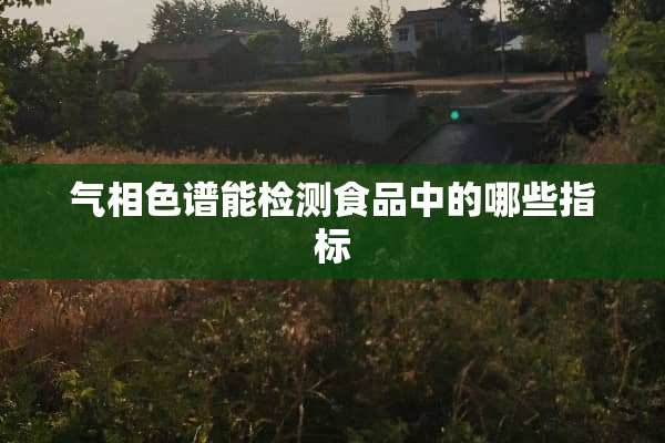气相色谱能检测食品中的哪些指标