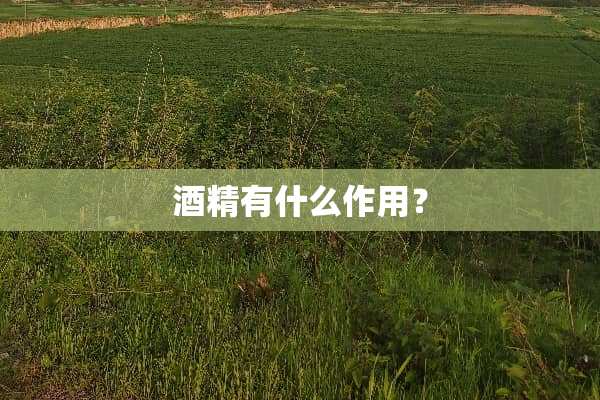 酒精有什么作用？