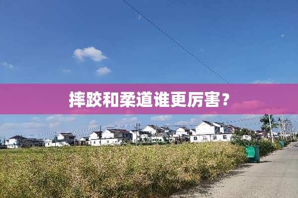 摔跤和柔道谁更厉害？