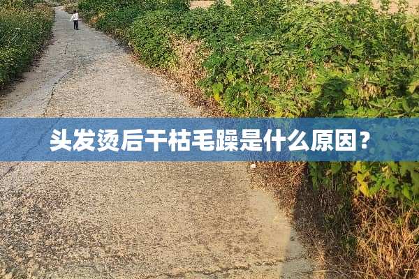 头发烫后干枯毛躁是什么原因？