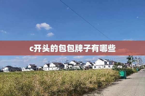 c开头的包包牌子有哪些