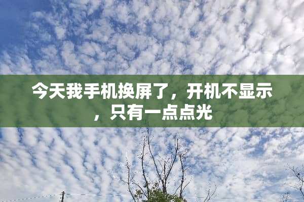 今天我手机换屏了，开机不显示，只有一点点光