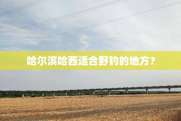 哈尔滨哈西适合野钓的地方？