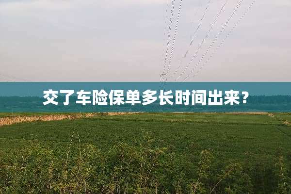 交了车险保单多长时间出来？