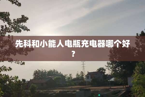 先科和小能人电瓶充电器哪个好？