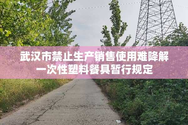 武汉市禁止生产销售使用难降解一次性塑料餐具暂行规定