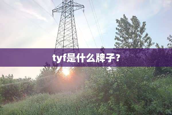 tyf是什么牌子？