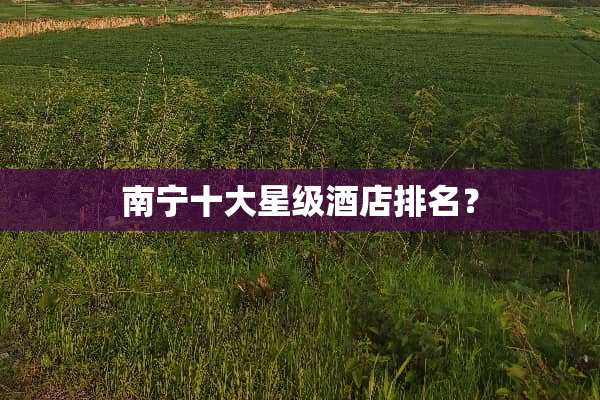 南宁十大星级酒店排名？