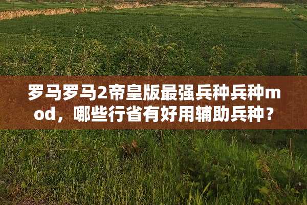 罗马罗马2帝皇版最强兵种兵种mod，哪些行省有好用辅助兵种？