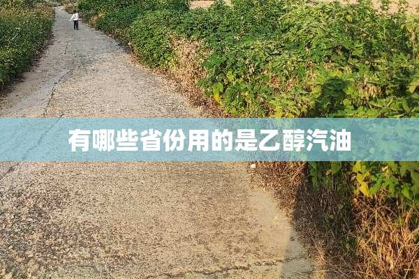 有哪些省份用的是乙醇汽油