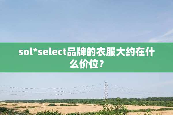 sol*select品牌的衣服大约在什么价位？