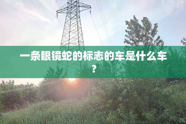 一条眼镜蛇的标志的车是什么车？