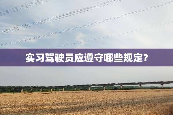 实习驾驶员应遵守哪些规定？