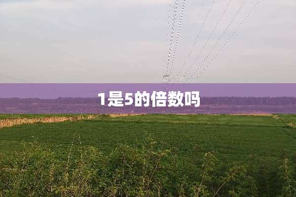 1是5的倍数吗