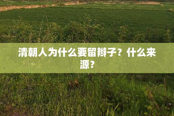 清朝人为什么要留辫子？什么来源？