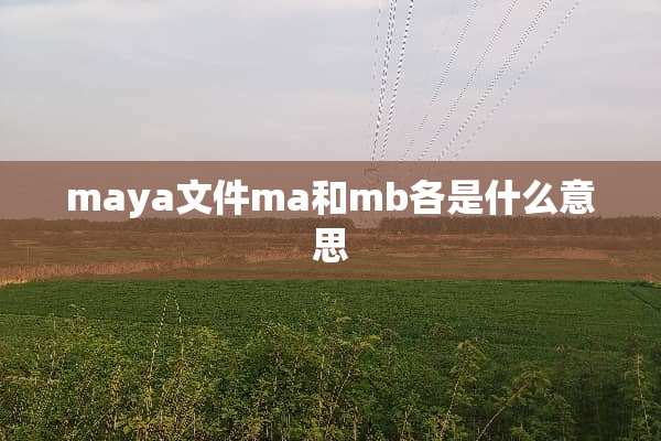 maya文件ma和mb各是什么意思
