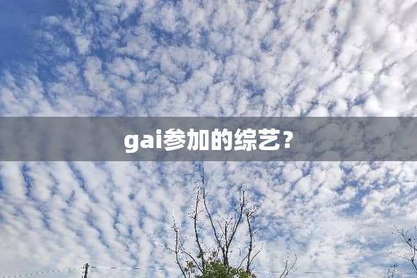 gai参加的综艺？