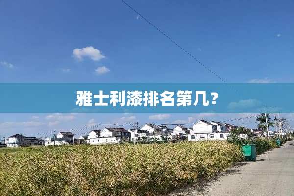 雅士利漆排名第几？
