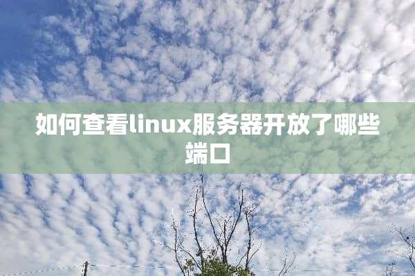 如何查看linux服务器开放了哪些端口