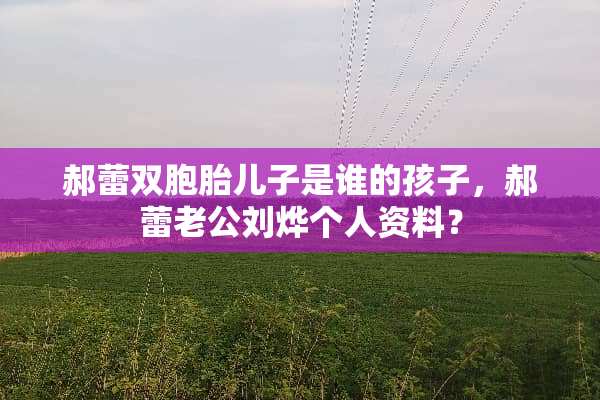 郝蕾双胞胎儿子是谁的孩子，郝蕾老公刘烨个人资料？