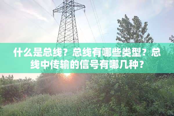 什么是总线？总线有哪些类型？总线中传输的信号有哪几种？