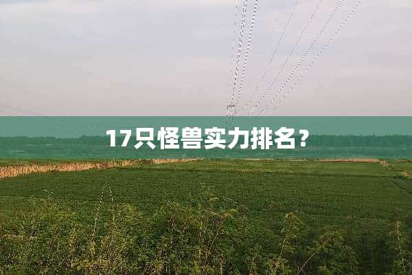 17只怪兽实力排名？