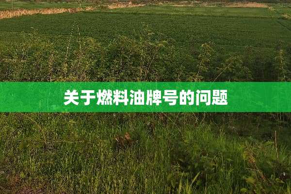 关于燃料油牌号的问题